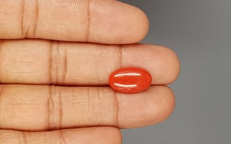 Italian Red Coral - 4.23 Carat Limited Quality CC-5810