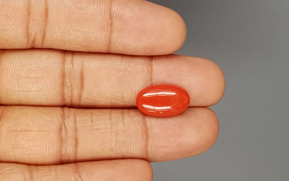 Italian Red Coral - 4.23 Carat Limited Quality CC-5810