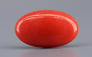 Italian Red Coral - 4.23 Carat Limited Quality CC-5810