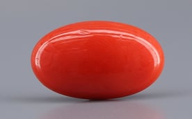 Italian Red Coral - 4.23 Carat Limited Quality CC-5810