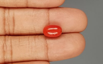 Italian Red Coral - 4.26 Carat Limited Quality CC-5792
