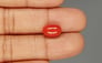 Italian Red Coral - 4.26 Carat Limited Quality CC-5792