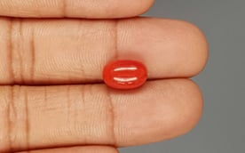 Italian Red Coral - 4.26 Carat Limited Quality CC-5792