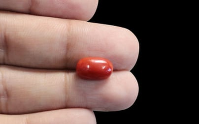 Italian Red Coral - 4.27 Carat Limited Quality CC-5662