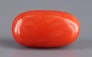 Italian Red Coral - 4.27 Carat Limited Quality CC-5662