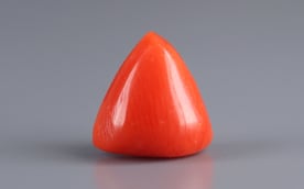 Italian Red Coral - 4.27 Carat Limited Quality TC-5143