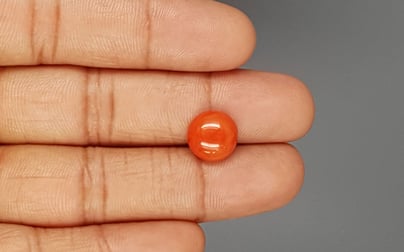 Italian Red Coral - 4.29 Carat Limited Quality CC-5812