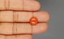 Italian Red Coral - 4.29 Carat Limited Quality CC-5812