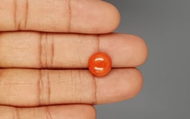 Italian Red Coral - 4.29 Carat Limited Quality CC-5812