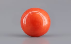 Italian Red Coral - 4.29 Carat Limited Quality CC-5812