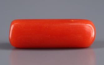Italian Red Coral - 4.31 Carat Fine Quality CC-5540