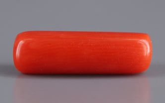 Italian Red Coral - 4.34 Carat Fine Quality CC-5607 