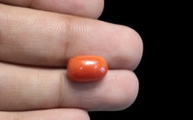 Italian Red Coral - 4.43 Carat Limited Quality CC-5666