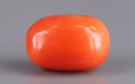 Italian Red Coral - 4.43 Carat Limited Quality CC-5666
