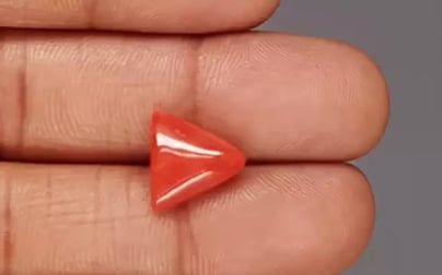 Italian Red Coral - 4.54 Carat Limited Quality TC-5382