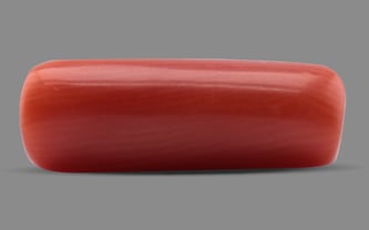 Italian Red Coral - 4.55 Carat Fine Quality CC-5539