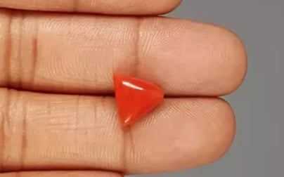 Italian Red Coral - 4.55 Carat Rare Quality TC-5332