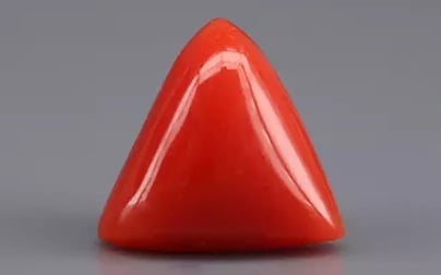 Italian Red Coral - 4.55 Carat Rare Quality TC-5332