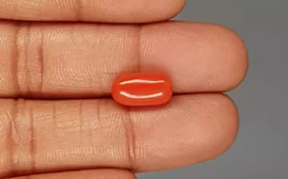 Italian Red Coral - 4.56 Carat Limited Quality CC-5828