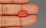 Italian Red Coral - 4.56 Carat Limited Quality CC-5828