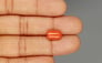 Italian Red Coral - 4.63 Carat Limited Quality CC-5730