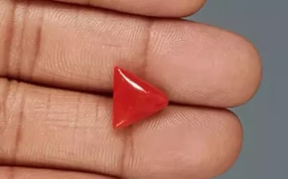 Italian Red Coral - 4.64 Carat Limited Quality TC-5366