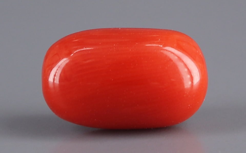 Italian Red Coral - 4.66 Carat Limited Quality CC-5631