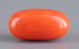 Italian Red Coral - 4.67 Carat Limited Quality CC-5514