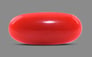 Italian Red Coral - 4.68 Carat Rare Quality CC-5562