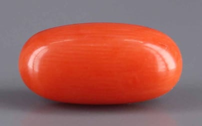 Italian Red Coral - 4.71 Carat Rare Quality CC-5564