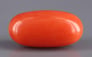 Italian Red Coral - 4.71 Carat Rare Quality CC-5564