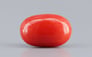 Italian Red Coral - 4.72 Carat Limited Quality CC-5795