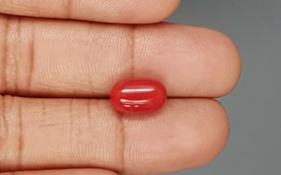 Italian Red Coral - 4.75 Carat Limited Quality CC-5802