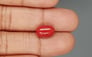 Italian Red Coral - 4.75 Carat Limited Quality CC-5802