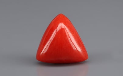 Italian Red Coral - 4.77 Carat Rare Quality TC-5380