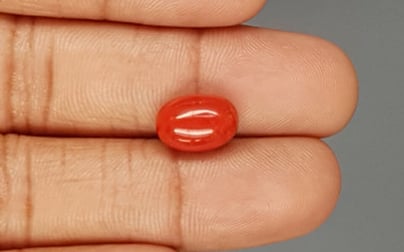 Italian Red Coral - 4.81 Carat Limited Quality CC-5793