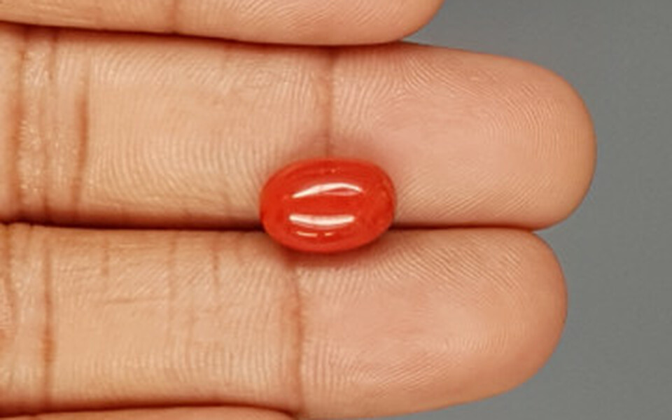 Italian Red Coral - 4.81 Carat Limited Quality CC-5793