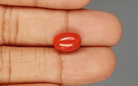 Italian Red Coral - 4.81 Carat Limited Quality CC-5793