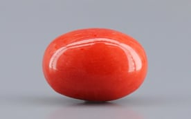 Italian Red Coral - 4.81 Carat Limited Quality CC-5793