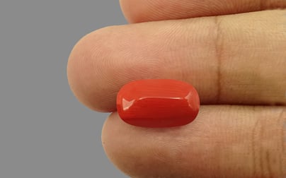 Italian Red Coral - 4.84 Carat Limited Quality CC-5621