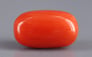 Italian Red Coral - 4.84 Carat Limited Quality CC-5621