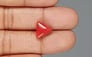 Italian Red Coral - 4.85 Carat Limited Quality TC-5343