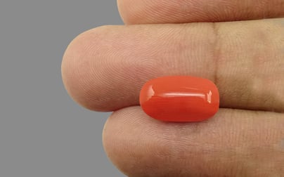 Italian Red Coral - 4.88 Carat Limited Quality CC-5618
