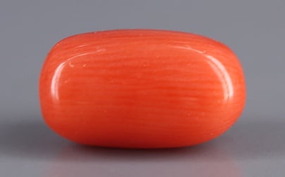 Italian Red Coral - 4.88 Carat Limited Quality CC-5618