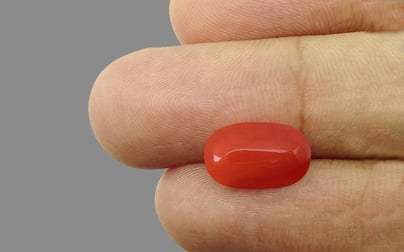 Italian Red Coral - 4.93 Carat Limited Quality CC-5616
