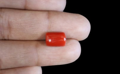 Italian Red Coral - 4.97 Carat Limited Quality CC-5633