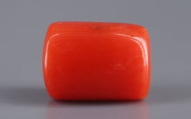 Italian Red Coral - 4.97 Carat Limited Quality CC-5633