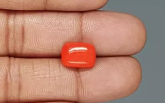 Italian Red Coral - 4.98 Carat Rare Quality CC-5872