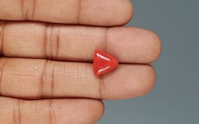 Italian Red Coral - 5.03 Carat Rare Quality TC-5363