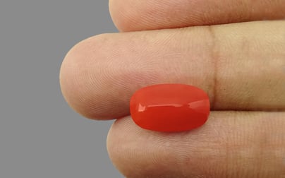 Italian Red Coral - 5.07 Carat Limited Quality CC-5615